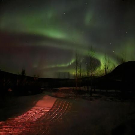 Golden Circle Cabin, Hot Tub Villa Geysir Ngoại thất bức ảnh