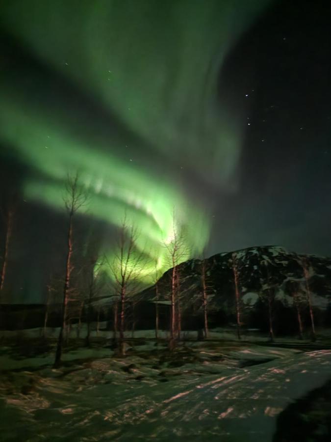 Golden Circle Cabin, Hot Tub Villa Geysir Ngoại thất bức ảnh