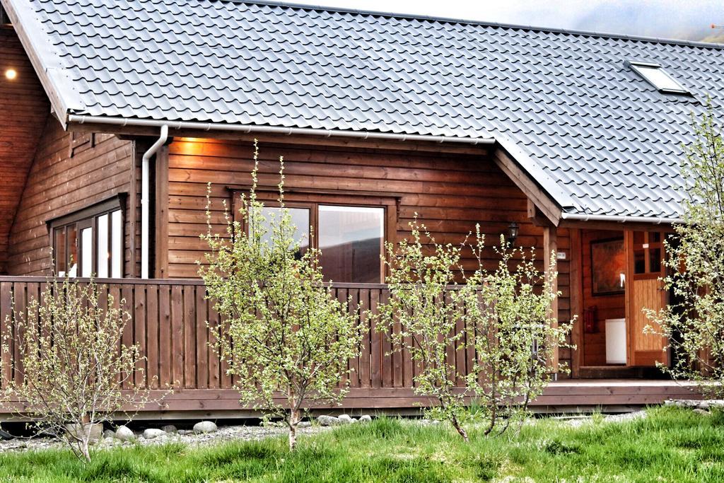 Golden Circle Cabin, Hot Tub Villa Geysir Ngoại thất bức ảnh